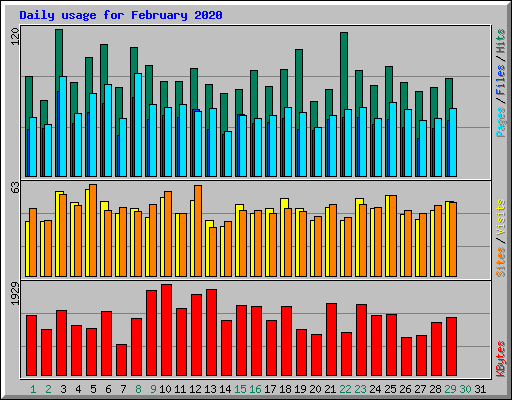 Daily usage for February 2020