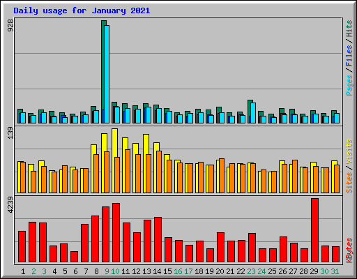 Daily usage for January 2021