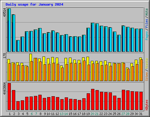 Daily usage for January 2024