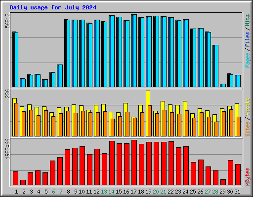 Daily usage for July 2024