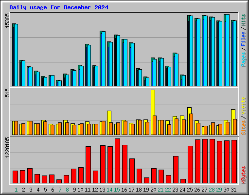 Daily usage for December 2024