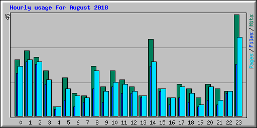 Hourly usage for August 2018