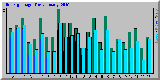 Hourly usage for January 2019
