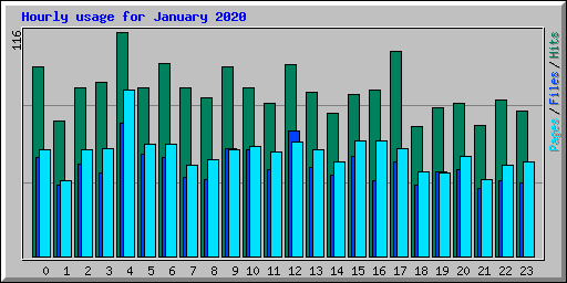 Hourly usage for January 2020