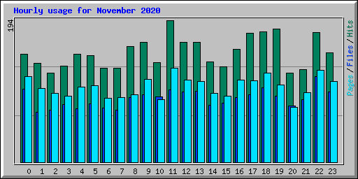 Hourly usage for November 2020