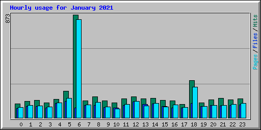 Hourly usage for January 2021