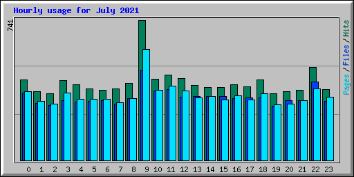 Hourly usage for July 2021
