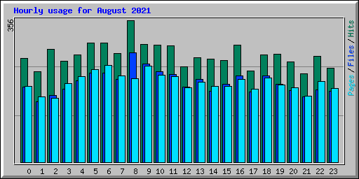 Hourly usage for August 2021