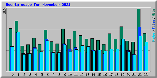 Hourly usage for November 2021