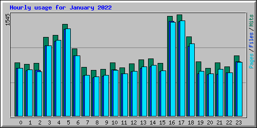 Hourly usage for January 2022