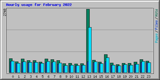 Hourly usage for February 2022
