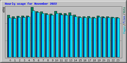 Hourly usage for November 2022