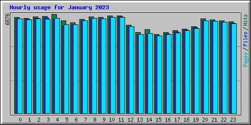 Hourly usage for January 2023
