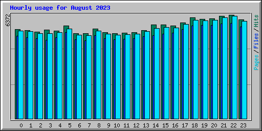Hourly usage for August 2023