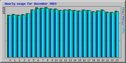Hourly usage for December 2023