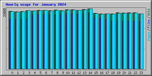 Hourly usage for January 2024
