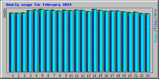 Hourly usage for February 2024