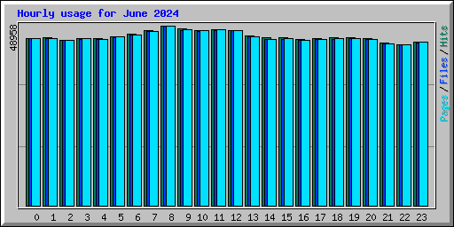 Hourly usage for June 2024