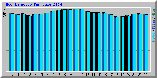 Hourly usage for July 2024