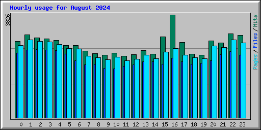 Hourly usage for August 2024