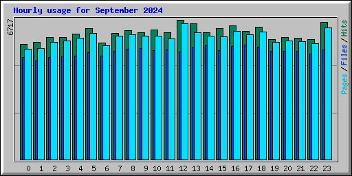 Hourly usage for September 2024