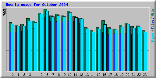 Hourly usage for October 2024