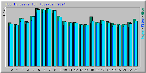 Hourly usage for November 2024