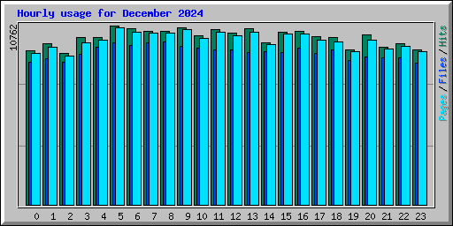 Hourly usage for December 2024
