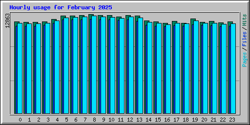Hourly usage for February 2025