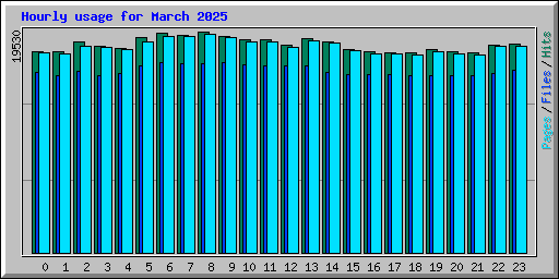 Hourly usage for March 2025