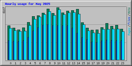 Hourly usage for May 2025