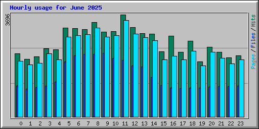 Hourly usage for June 2025