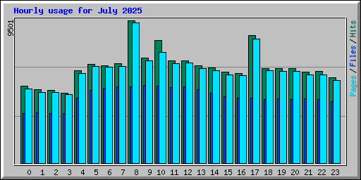 Hourly usage for July 2025