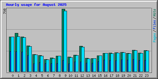 Hourly usage for August 2025