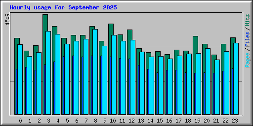 Hourly usage for September 2025