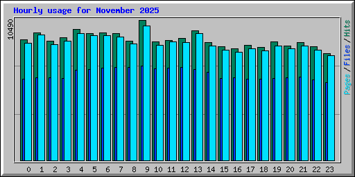 Hourly usage for November 2025